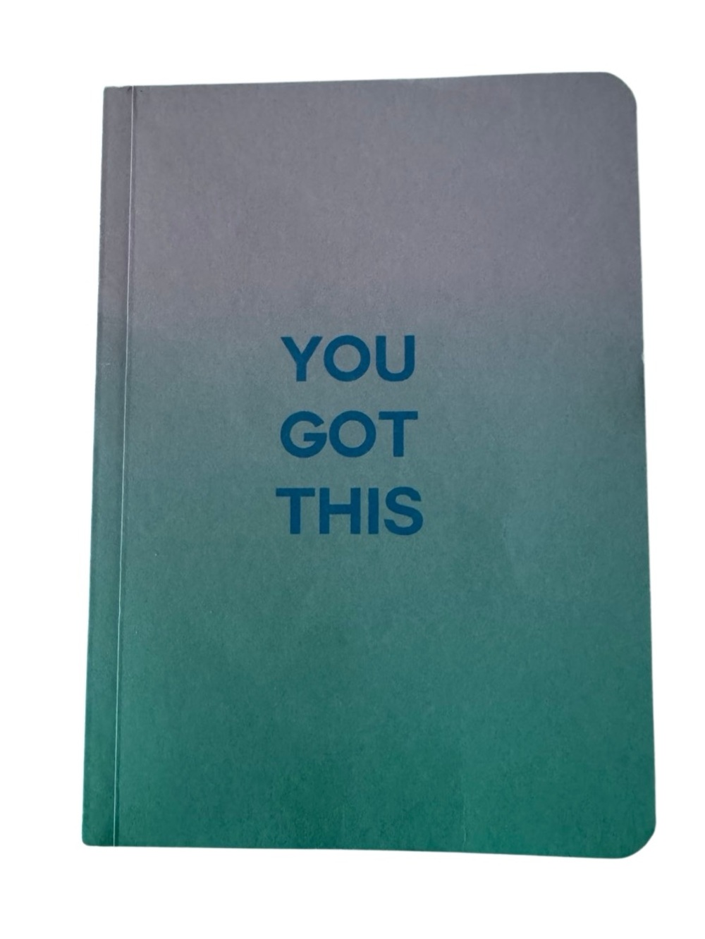 JOURNAL NOTEBOOK YOU GOT THIS blank lined pages purple teal ombré soft cover